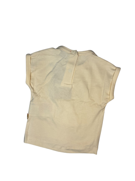 Ensemble short bird